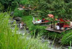 Wisata Gubug Marawati Hadirkan Pesona Alam yang Indah, Tempat Camping Low Budget Pinggiran Sungai Kromong