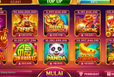 Cara Mencari Room Bagus Higgs Domino Hari Ini, Paling Gacor Buat Dapat Jackpot Beruntun