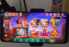 Cara Login Tdomino Boxiang APK Paling Mudah, Penghasil Uang Terbaik Tanpa Syarat Apapun