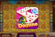 Download Qiu Qiu HDI Mod Apk New Version 2024 (Unlimited Chip) Sedekah Receh Auto Gacor!