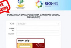 Cara Menggunakan SIKS NG Untuk Cek Bansos Kemensos 2024, Mudah Cuma dengan KTP Via HP!