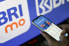 BRImo Error Hari Ini Saldo Rp0 Ternyata Begini Penyebab dan Cara Mengatasinya, Jangan Panik Bosqu 