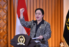 Kritik BEM UI Melki Sedek Huang Soal Kasus Perppu Cipta Kerja Jadi Sorotan, Begini Tanggapan DPR RI