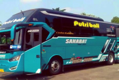 Jadwal Keberangkatan Bus PO Sahabat November 2023, Lengkap Beberapa Kota Tujuan!