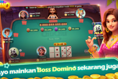 Cek Jam Hoki Higgs Domino Unlock JP Hari Ini 5 Desember 2023, Modal 2M Dapat 1B!
