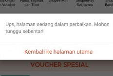 Update Info! Shopee Tak Bisa Dibuka Hari Ini 20 April Tahun 2024, Penyebab dan Solusi Untuk Pengguna
