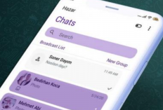 Download WhatsApp (WA) Aero v9.93 APK Terbaru 2024 Unlocked Premium, Tersedia Beragam Tema Gratis Hingga Anti Tarik Pesan dan Status