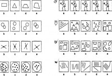 Cara dan Tips Menjawab Soal Tes Tiu 5, Cepat dan Tepat Lengkap Dengan Penjelasannya