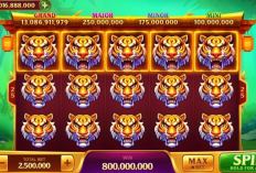 Update! Pola Room Panda Higgs Domino 10 Desember 2023, Pakai Kode 3-2-1 Dijamin Langsung Banjir Scatter dan Full Macan