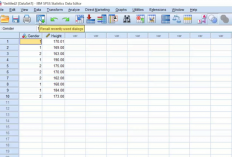 Cara Menghitung Standar Deviasi di SPSS Paling Mudah, Dilengkapi dengan Tutorial Bacanya