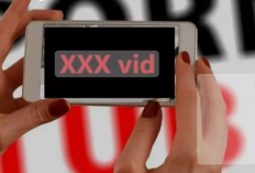 Kumpulan Video Viral 11 Menit Link Telegram File Mediafire, Video 18+ yang Jadi Buruan Warganet!