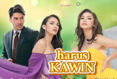 Sinopsis Web Series Harus Kawin yang Bakal Tayang di WE TV Oleh Kevin Julio, Haico Van Der Veken, Junior Roberts