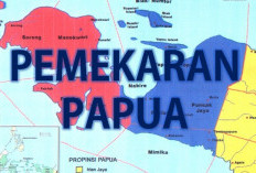 Pemekaran Wilayah Papua Ada Propinsi Baru? Ada 6 Wilayah, Cek Dulu Faktanya!