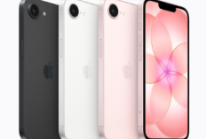 Gebrakan Apple! iPhone 17e Kini Dibekali Kamera 48MP & Chip A19: Bakal Jadi HP Paling Laris di Tahun 2026?