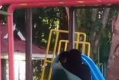Link Video Viral Taman Tanjungpinang Full HD 1080p Perilaku Tidak Pantas Memicu Kontroversi