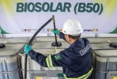 Pengguna Bahan Bakar Minyak Biodiesel B50 Ungkap Perbedaan Dampak Usai Pemakaian Sebulan, Adakah yang Aneh?