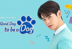 Nonton Drama A Good Day to Be a Dog (2023) Episode 1 Subtitle Indonesia, Rahasia Jin Seo Won yang Tak Pernah Terungkap