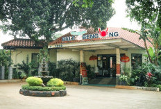 Lokasi Lengkap dan Jam Operasional RM Bale Bengong Seafood Resto, Tempat Makan Asri dengan Rasa Masakan Nikmat