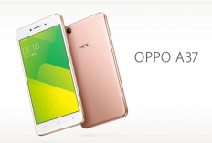 Cara Reset HP OPPO A37F Paling Mudah, Aman, dan Dijamin 100% Berhasil