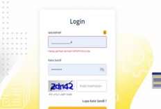 Daftar Kode Akses DJP Online Error Hari Ini, Langsung Klik Link Ini Masalah Dijamin Teratasi