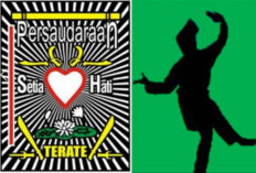 Download Contoh 36 Jurus PSHT Lengkap Dengan Gambar Penjelasnya