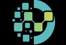 Terbukti Penipuan! Apakah Dana Investasi Aplikasi Smart Wallet yang Sudah Masuk Bisa Kembali?