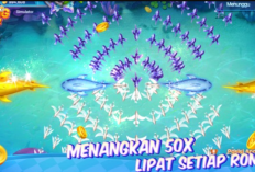 Review Fish Master, Game Penghasil Uang Viral 2024, Benarkah Terbukti Membayar? Ternyata Ini Faktanya!