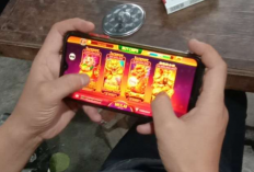 Murah Meriah! Ini Dia Daftar Penjual Chip Higgs Domino Terdekat di Banyuwangi Terbaru 2024, Dilengkapi dengan Cara Top Up-nya