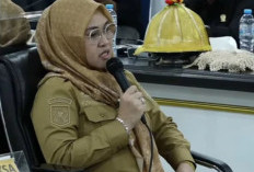 Pemakzulan Bupati Gowa Viral, Guru Besar Untad: 'Etika dalam Pemerintahan Itu Penting'