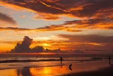Contoh Gambar Pemandangan Senja di Pantai yang Mudah Ditiru, Sederhana Namun Terlihat Indah!