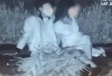 Tertangkap Mesun Saat Hujan, Video Muda-Mudi Lapangan Renon 1 Menit 30 Detik Trending Lagi 