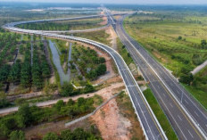 Proyek Jalan Tol Muara Enim Tak Jadi Prioritas Pembangunan Nasional, Bagaimana Ganti Rugi Warga? 