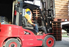 Benarkah Loker PT Metro Logistindo Infinity Penipuan? Waspada Terkait Penipuan Lowongan Kerja!