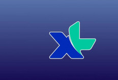 Cara Mengatasi XL Error Hari Ini, Lakukan Ini Kalau Sinyal Nggak Muncul