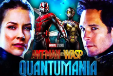 Link Nonton Film Ant-Man and the Wasp Quantumania (2023) dan Sinopsisnya, Penjelajahan Dunia Baru Yang Dibintangi Aktor Paul Rudd