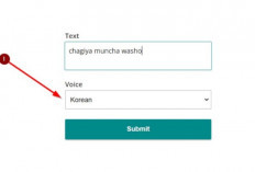 Gampang Banget! Cara Ganti Nada Dering WA Suara Google Tanpa Aplikasi, Beda dari yang Lain!