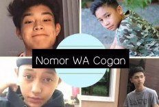 Masih Aktif! Nomor WA (Whatsapp) Cogan Masih Jomblo Kelas 3 SD Terbaru 2024, Bisa Diajak Kenalan Nih