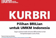 Pinjam Dana KUR BRI 2023 Tapi Tidak Punya Usaha Apakah Bisa? Cek Informasinya di Sini!