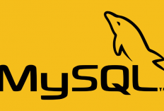 Cara Setting Koneksi Jarak Jauh ke Server Database MySQL, Gampang Banget! Pemula Dijamin Langsung Bisa