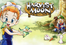 Cara Cheat Harvest Moon Back To Nature di Android Paling Mudah dan Ampuh, Auto Jadi Sultan dalam Sekejap