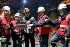 Lowongan Kerja Tambang Freeport Februari 2024, Pendidikan Minimal S1! Raih Kesempatan Sekarang Juga