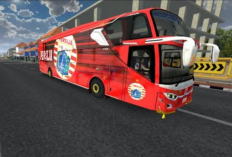 Download Livery BussID Persija Jakarta Terbaru 2023, Klub Kebanggaan dari Ibukota