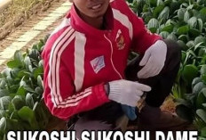 Lagu Sukoshi Sukoshi Dame Viral! Dibuat Karena Keresahaan TKI Jepang Saat Bekerja