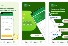 Pinjol Singa id Sebar Data Nasabah, Benarkah? Cek Fakta Lengkapnya Supaya Tidak Buntung!