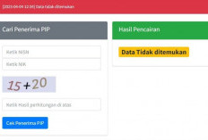 Cara Mengecek Penerima Dana PIP 2023 Melalui HP, Mudah! Lakukan Langkah Berikut