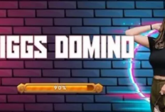 Download Higgs Domino MOD APK 2023, Full Musik DJ Unlimited Chip Langsung Main Tanpa Takut Kalah