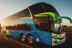 Tarif Travel Bus Damri Pontianak - Khucing Terbaru 2023, Murah Meriah Cuma Rp. 250.000 Saja!