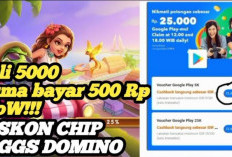 Top Up Chip Higgs Domino Murah Via DANA 3000 Terbaru 2024, Dapatkan Tambahan Bonus Menarik!