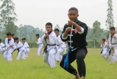 Urutan Sabuk IKSPI Ada 6 yang Wajib Kamu Tau, Simak Apa Perbedaannya Di Sini