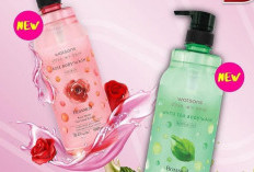 Daftar Harga Sabun Watson Termurah, Ada yang Isi 1000 ML Cuma Rp 35K Doang 